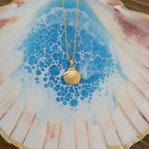 Gold Shell Necklace 18K Gold Beach Conch Clam Shell 925 Sterling Silver New